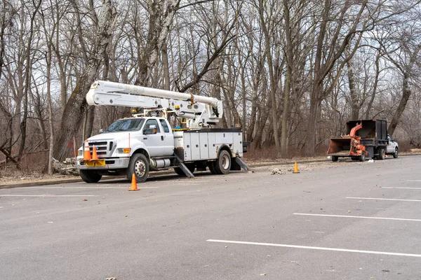 Tree Service Lake Geneva Seasonal Pruning & Maintenance Services