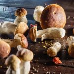 Innovative Packaging Methods for Cannabis and Mushroom Deliveries