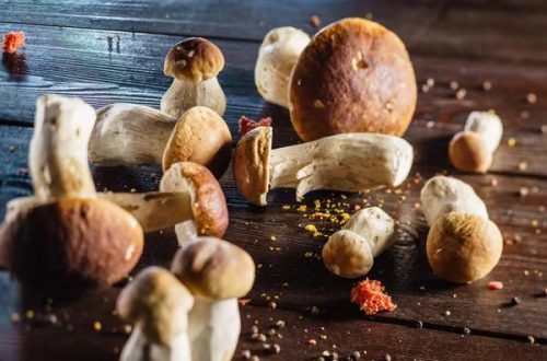 Innovative Packaging Methods for Cannabis and Mushroom Deliveries