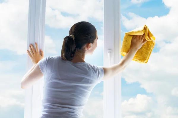 Window Cleaning for High-Rise Buildings Methods and Safety Tips