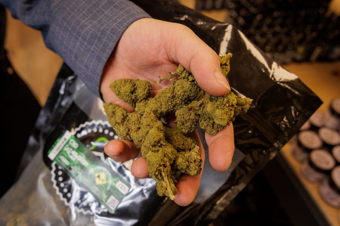 Find Trusted Cannabis Advice Inside Wietforum Community Discussions