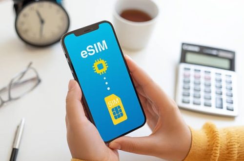 Save on Roaming with the Best eSim Solutions