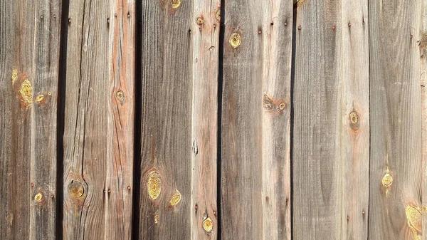 Professional Salem Fence Company Serving Local Homeowners