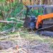 Local Tree Service Specialists You Can Count On