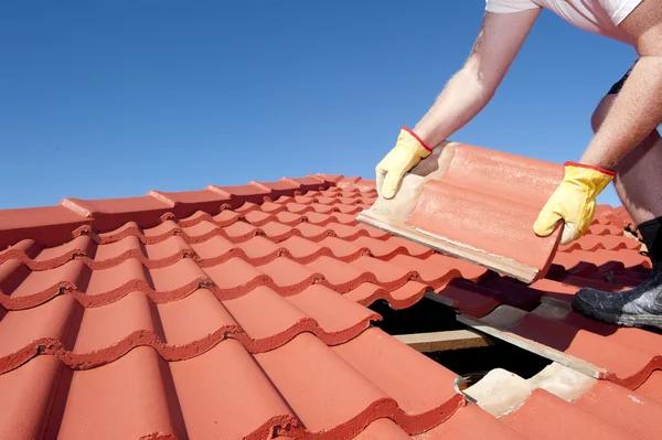 Experienced Roofer Albany for Fast and Reliable Service